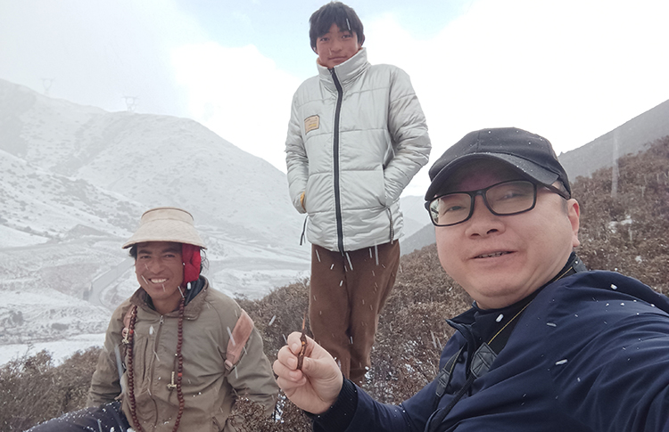 YinRuanShi cùng người dân Tây Tạng lên núi đào đông trùng hạ thảo trong băng tuyết