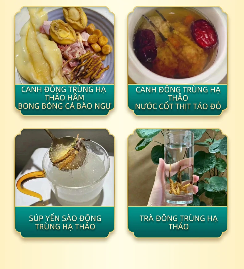 CANH ĐÔNG TRÙNG HẠ THẢO HẦM BONG BÓNG CÁ BÀO NGƯ, CANH ĐÔNG TRÙNG HẠ THẢO NƯỚC CỐT THỊT TÁO ĐỎ, SÚP YẾN SÀO ĐÔNG TRÙNG HẠ THẢO, TRÀ ĐÔNG TRÙNG HẠ THẢO