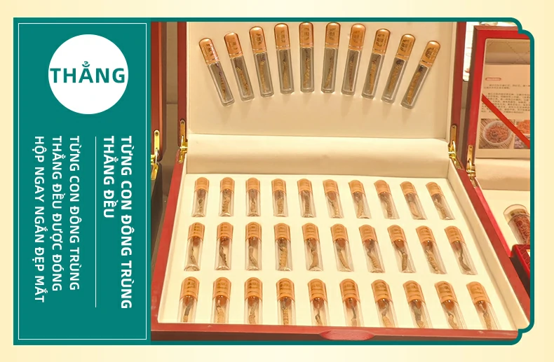 TỪNG CON ĐÔNG TRÙNG THẲNG ĐỀU. Từng con Đông trùng thẳng đều được đóng hộp ngay ngắn đẹp mắt