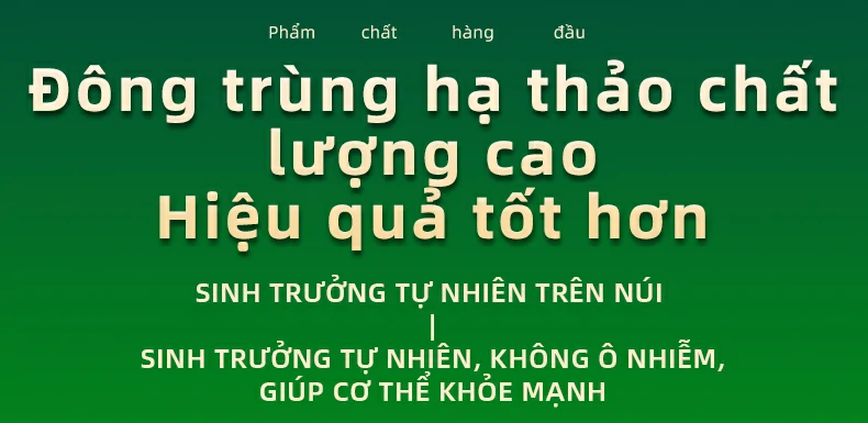 Phẩm chất hàng đầu, Đông trùng hạ thảo chất lượng cao Hiệu quả tốt hơn. Sinh trưởng tự nhiên trên núi | Sinh trưởng tự nhiên, không ô nhiễm, giúp cơ thể khỏe mạnh.