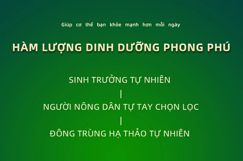 Giúp cơ thể bạn khỏe mạnh hơn mỗi ngày. HÀM LƯỢNG DINH DƯỠNG PHONG PHÚ. Sinh trưởng tự nhiên, Người nông dân tự tay chọn lọc, Đông trùng hạ thảo tự nhiên 