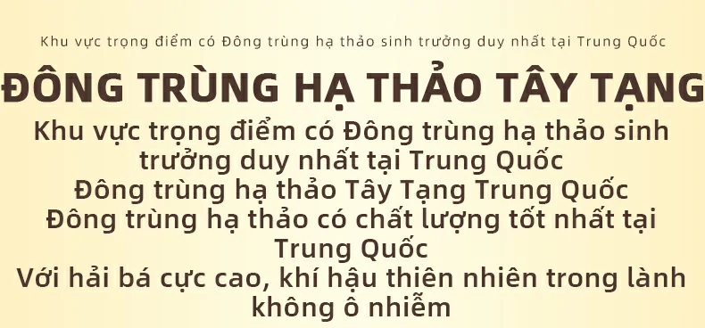 Khu vực trọng điểm có Đông trùng hạ thảo sinh trưởng duy nhất tại Trung Quốc,Đông trùng hạ thảo Tây Tạng,Khu vực trọng điểm có Đông trùng hạ thảo sinh trưởng duy nhất tại Trung Quốc, Đông trùng hạ thảo Tây Tạng Trung Quốc, Đông trùng hạ thảo có chất lượng tốt nhất tại Trung Quốc, Với hải bá cực cao, khí hậu thiên nhiên trong lành không ô nhiễm