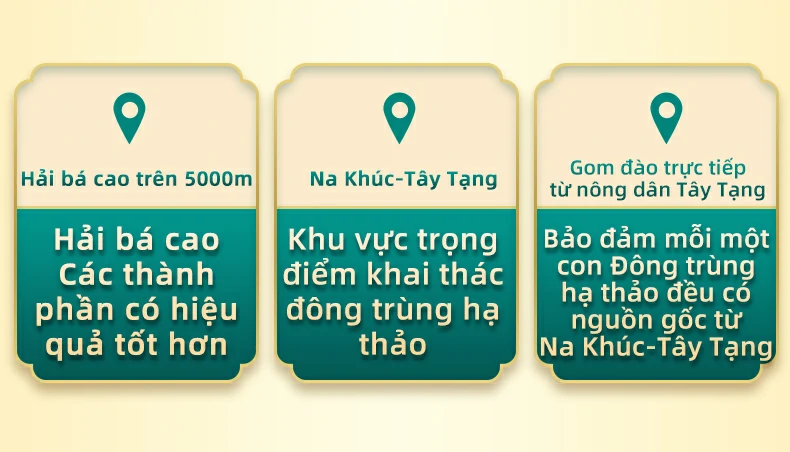 Hải bá cao trên 5000m, Hải bá cao Các thành phần có hiệu quả tốt hơn. Na Khúc-Tây Tạng Khu vực trọng điểm khai thác đông trùng hạ thảo. Gom đào trực tiếp từ nông dân Tây Tạng. Bảo đảm mỗi một con Đông trùng hạ thảo đều có nguồn gốc từ Na Khúc-Tây Tạng.