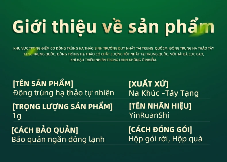 Giới thiệu về sản phẩm, Khu vực trọng điểm có Đông trùng hạ thảo sinh trưởng duy nhất tại Trung  Quốcm. Đông trùng hạ thảo Tây Tạng Trung Quốc. Đông trùng hạ thảo có chất lượng tốt nhất tại Trung Quốc. Với hải bá cực cao, khí hậu thiên nhiên trong lành không ô nhiễm. [TÊN SẢN PHẨM]Đông trùng hạ thảo tự nhiên, [XUẤT XỨ]Na Khúc -Tây Tạng, [TRỌNG LƯỢNG SẢN PHẨM] 1g, [TÊN NHÃN HIỆU]YinRuanShi, [CÁCH BẢO QUẢN] Bảo quản ngăn đông lạnh, [CÁCH ĐÓNG GÓI]Hộp gói rời, Hộp quà