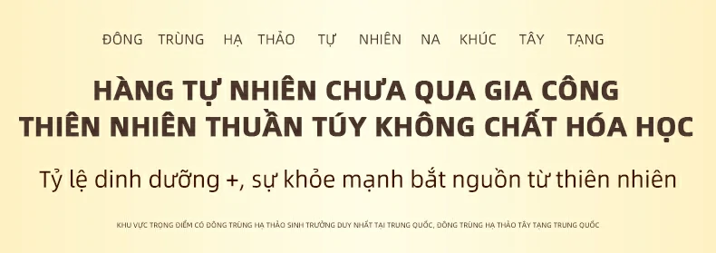 ĐÔNG TRÙNG HẠ THẢO  TỰ NHIÊN NA  KHÚC TÂY TẠNG. Hàng tự nhiên chưa qua gia công thiên nhiên thuần túy không chất hóa học. Tỷ lệ dinh dưỡng +, sự khỏe mạnh bắt nguồn từ thiên nhiên. Khu vực trọng điểm có Đông trùng hạ thảo sinh trưởng duy nhất tại Trung Quốc, Đông trùng hạ thảo Tây Tạng Trung Quốc.